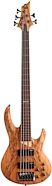 ESP LTD B-205SM Fretless Electric Bass, 5-String
