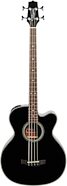 Takamine GB-30CE Acoustic-Electric Bass