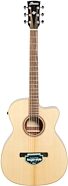 Ibanez Fingerstyle Series ACFS380 Acoustic-Electric Guitar (with Gig Bag)