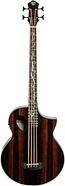 Michael Kelly Dragonfly 4 Port Acoustic-Electric Bass Guitar, Ovangkol Fingerboard