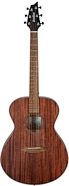 Breedlove ECO Discovery S Concert Acoustic Guitar
