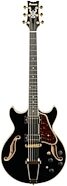 Ibanez Artcore Expressionist AMH90 Electric Guitar
