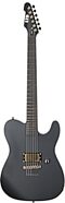 ESP LTD Alan Ashby AA-1 Electric Guitar (with Case)