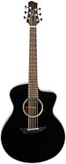 Ibanez Jon Gomm JGM5 Acoustic-Electric Guitar (with Gig Bag)