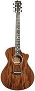 Breedlove Exclusive Premier Concert CE Acoustic-Electric Guitar (with Gig Bag)