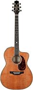 Takamine LTD2022 60th Anniversary Acoustic-Electric Guitar (with Case)