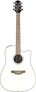 Takamine GD35CE Acoustic-Electric Guitar (with Gig Bag)
