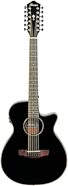 Ibanez AEG5012 Acoustic-Electric Guitar, 12-String