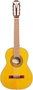 Epiphone PRO-1 Classic 3/4-Size Nylon-String Classical Acoustic Guitar