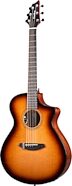 Breedlove Organic Pro Solo Pro Concert CE Acoustic-Electric Guitar (with Case)