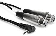 Hosa 1/8" to Dual XLR Female Stereo Breakout Cable
