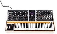 Moog One Polyphonic Analog Synthesizer Keyboard (16-Voice)