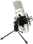 TASCAM TM-80 Large-Diaphragm Condenser Microphone