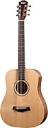 Taylor BT1e Baby Taylor Acoustic Guitar (with Gig Bag)