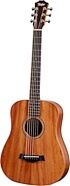 Taylor Baby Taylor BT2e 3/4-Size Acoustic-Electric Guitar (with Gig Bag)