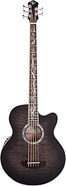Michael Kelly Dragonfly 5 Acoustic-Electric Bass Guitar, 5-String, Pau Ferro Fingerboard