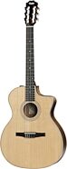 Taylor 214ce-N Nylon Rosewood Grand Auditorium Classical Acoustic-Electric Guitar (with Gig Bag)