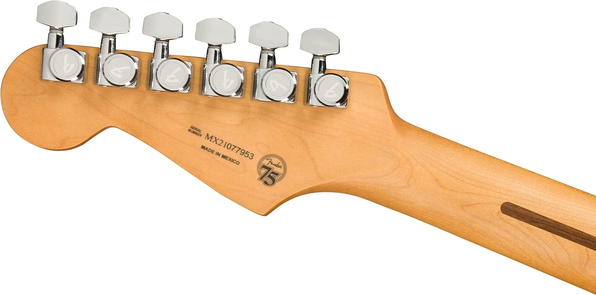 Fender Player Plus Stratocaster HSS Electric Guitar, Maple Fingerboard (with Gig Bag), Action Position Back