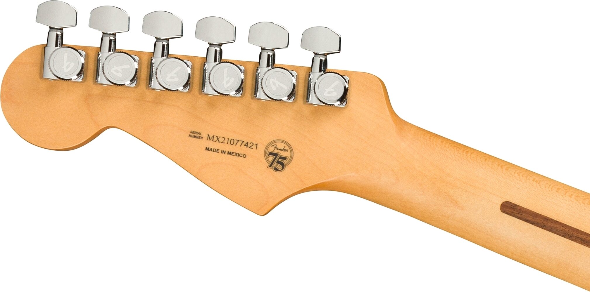 Fender Player Plus Stratocaster HSS Electric Guitar, Pau Ferro Fingerboard (with Gig Bag), Action Position Back