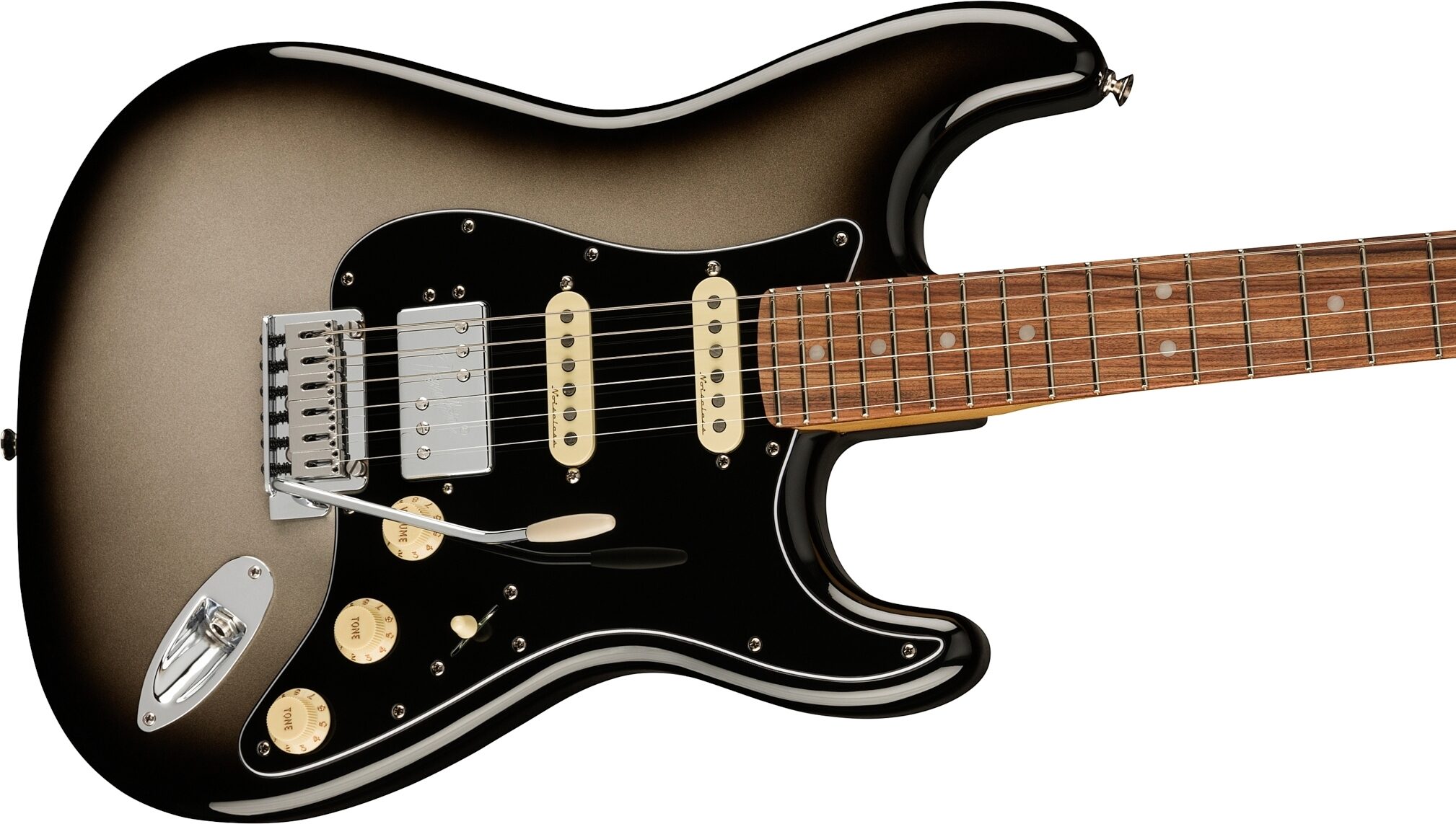 Fender Player Plus Stratocaster HSS Electric Guitar, Pau Ferro Fingerboard (with Gig Bag), Action Position Back