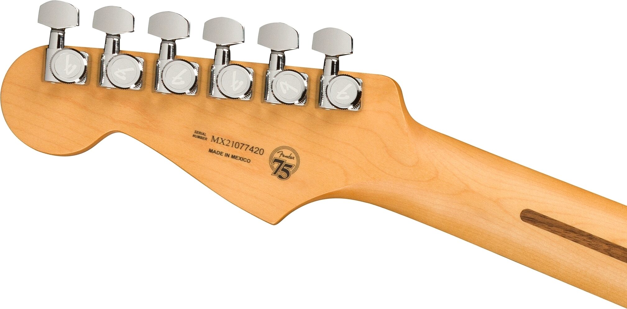 Fender Player Plus Stratocaster HSS Electric Guitar, Pau Ferro Fingerboard (with Gig Bag), Action Position Back