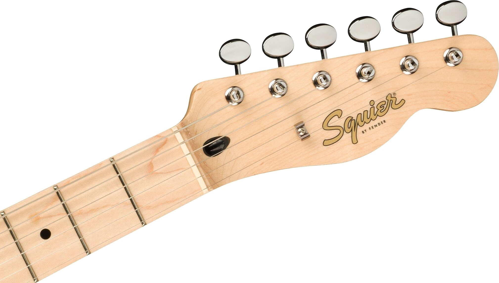 Squier Paranormal Offset Telecaster Electric Guitar, Maple Fingerboard, Action Position Back