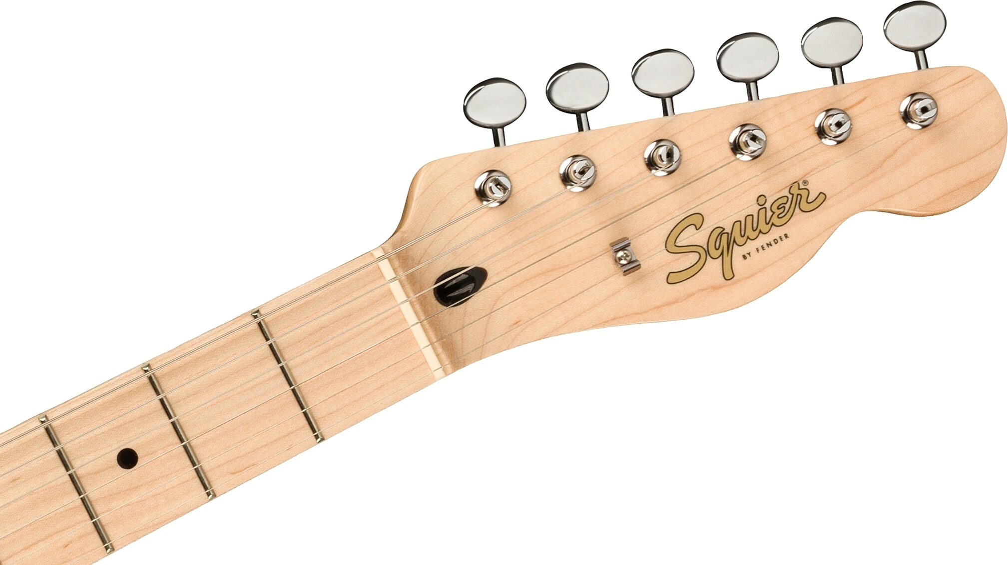 Squier Paranormal Offset Telecaster Electric Guitar, Maple Fingerboard, Action Position Back