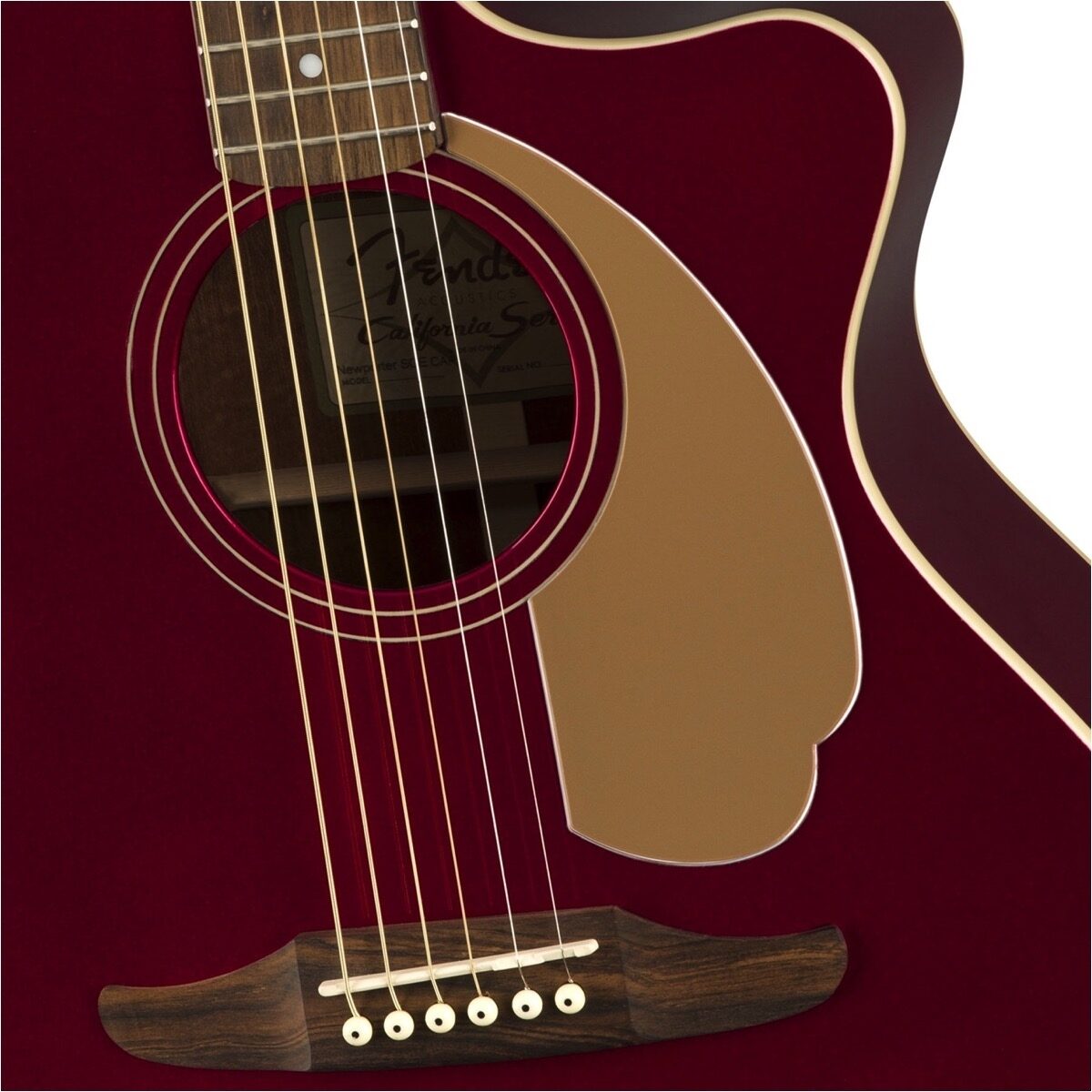Fender Newporter Player Acoustic-Electric | zZounds