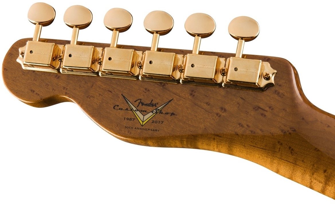 Fender Custom Shop Artisan Tamo Ash Telecaster Electric Guitar (with Case), Hs2