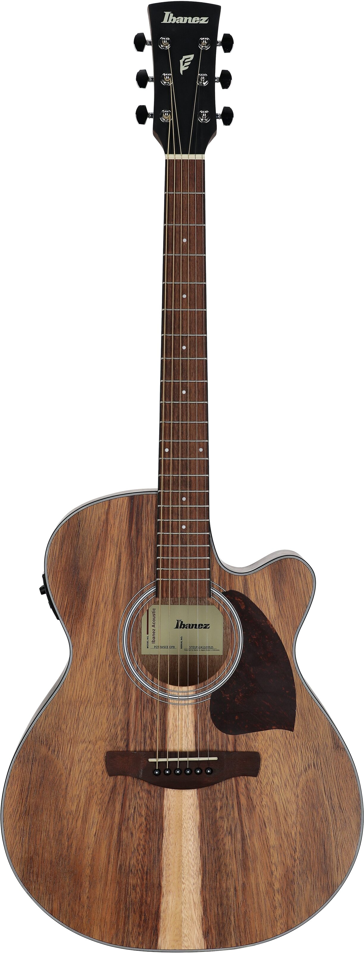Ibanez PC50WSCE Acoustic-Electric Guitar, Open Pore Natural, Full Straight Front