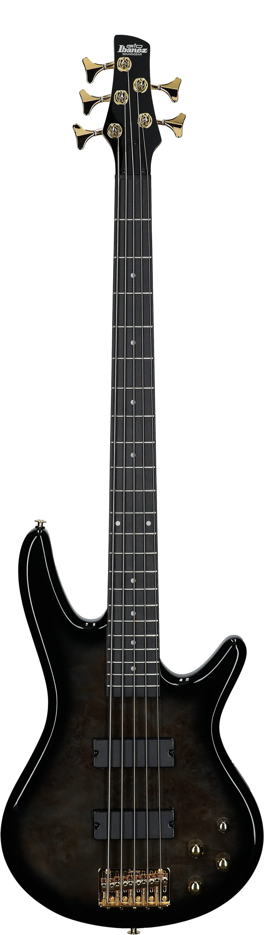 Ibanez GSR205PC Gio Electric Bass, 5-String, Transparent Pale Black Burst, Full Straight Front