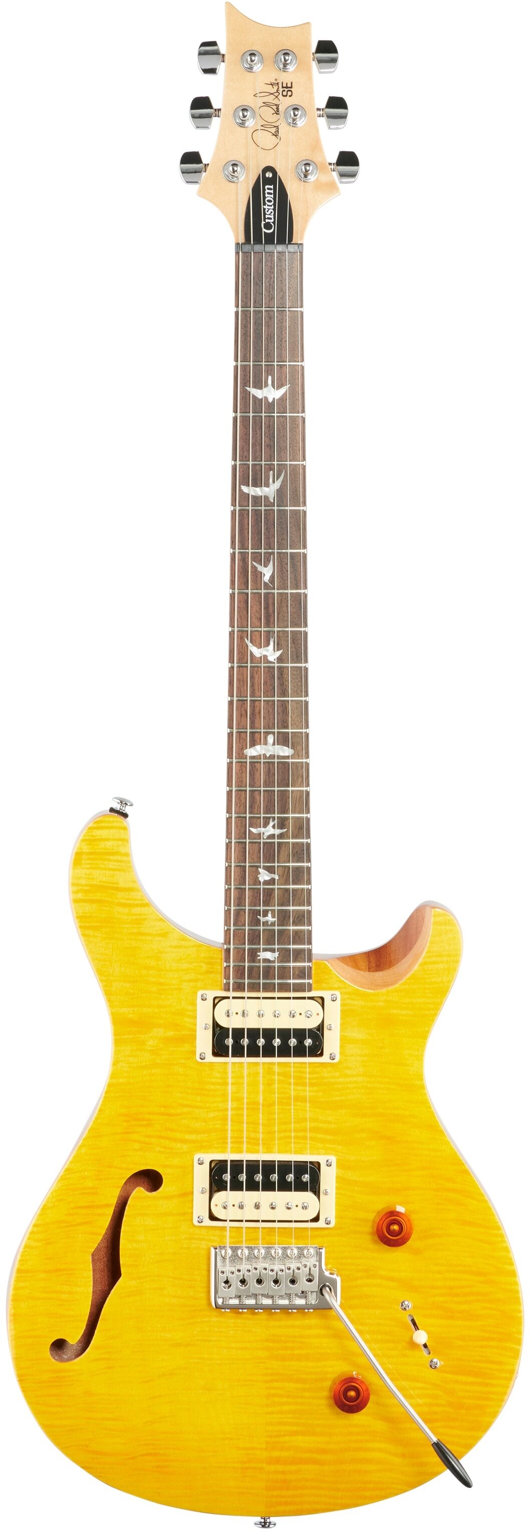 PRS Paul Reed Smith SE Custom 22 Semi-Hollow Electric Guitar