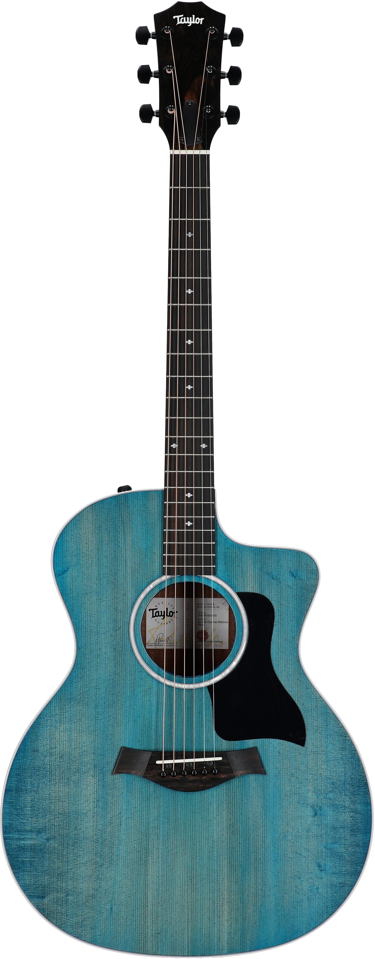 Taylor 214ce-SE Grand Auditorium Acoustic-Electric Guitar (with AeroCase), Blue, Full Straight Front