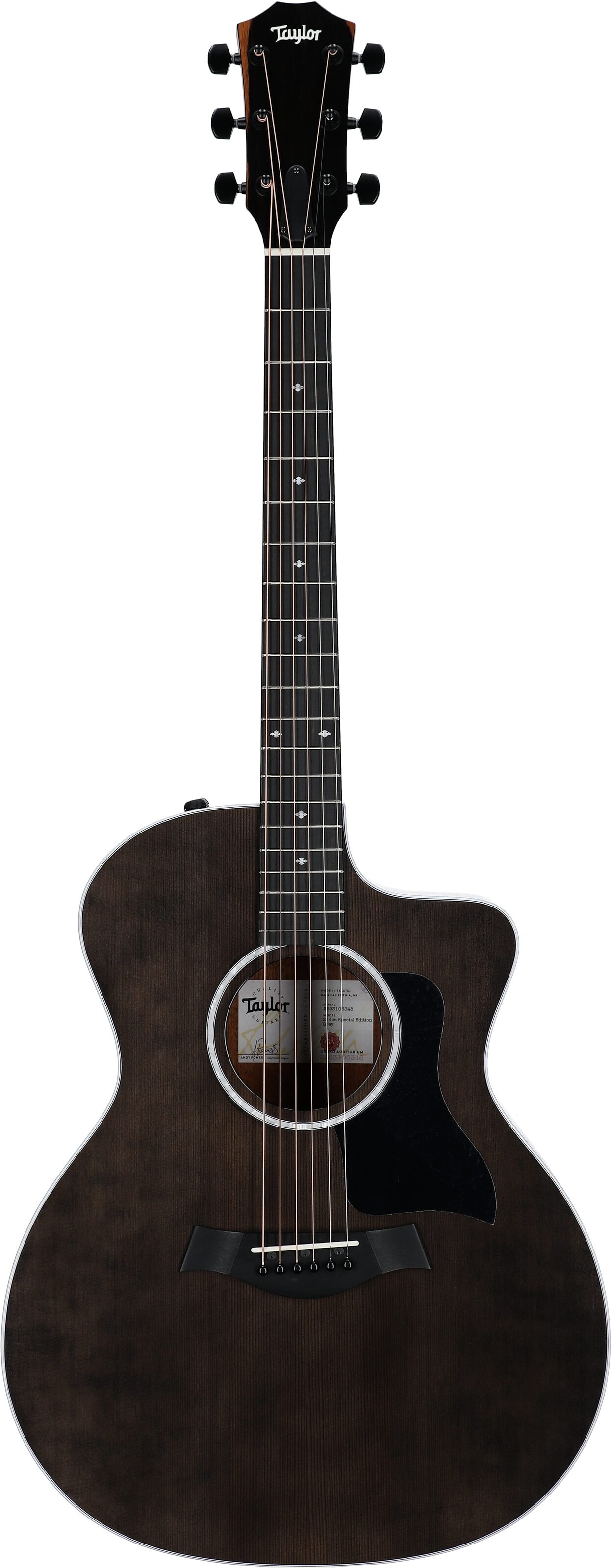 Taylor 214ce-SE Grand Auditorium Acoustic-Electric Guitar (with AeroCase), Grey, Full Straight Front