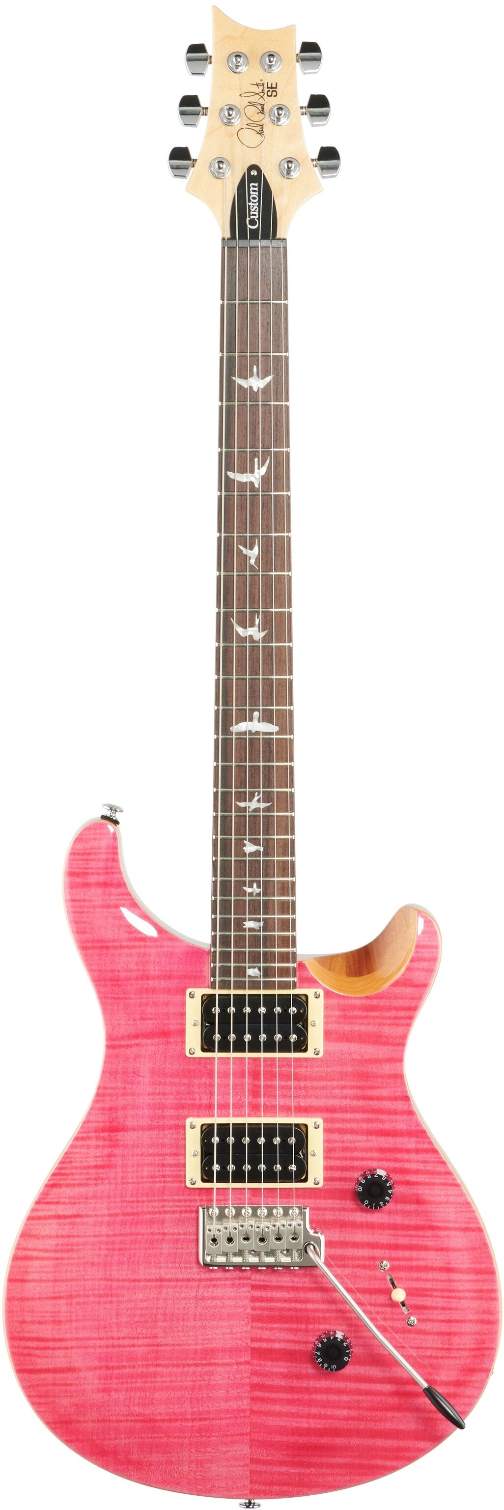 特別セーフ PRS custom24 エレキギター - education.semel.ucla.edu