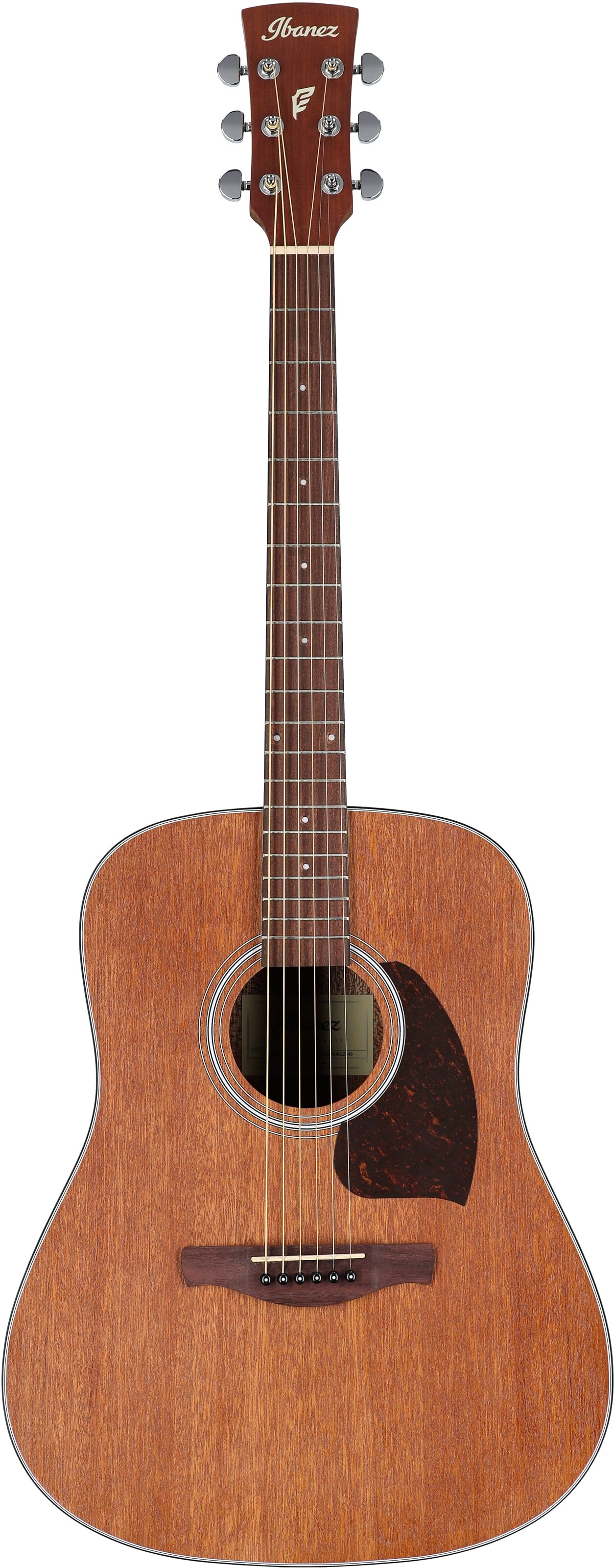 Ibanez PF54 Acoustic Guitar, Open Pore Natural, Full Straight Front