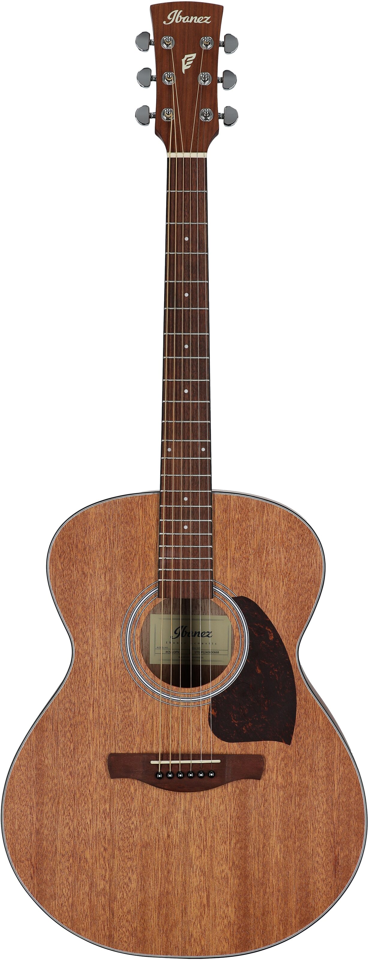 Ibanez PC54 Acoustic Guitar, Open Pore Natural, Full Straight Front