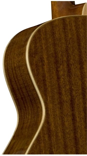 Bedell MB-18-G Grand Auditorium Acoustic Guitar (with Gig Bag), Body Closeup - Back