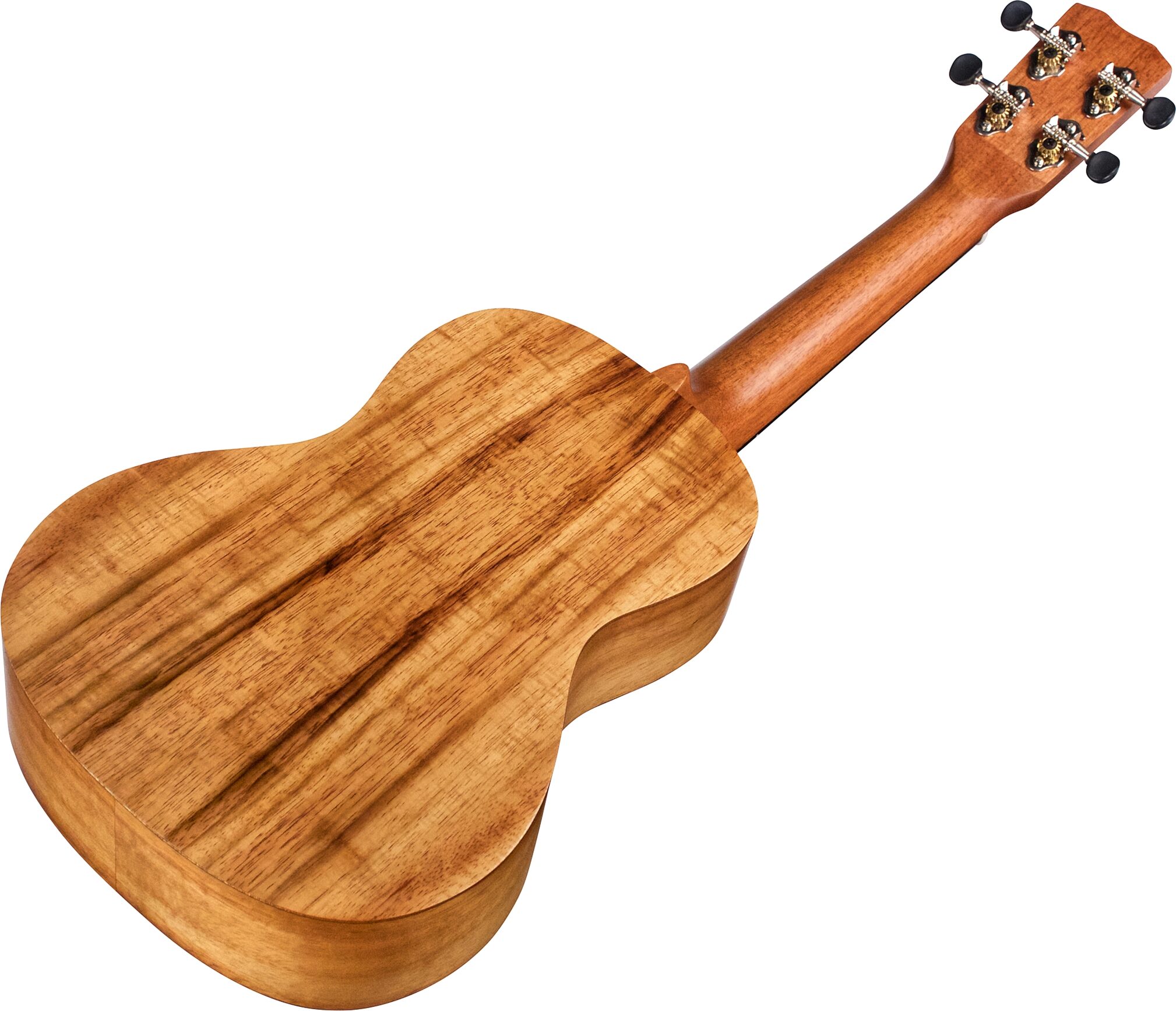 Cordoba 28C Koa Concert Ukulele, Action Position Back