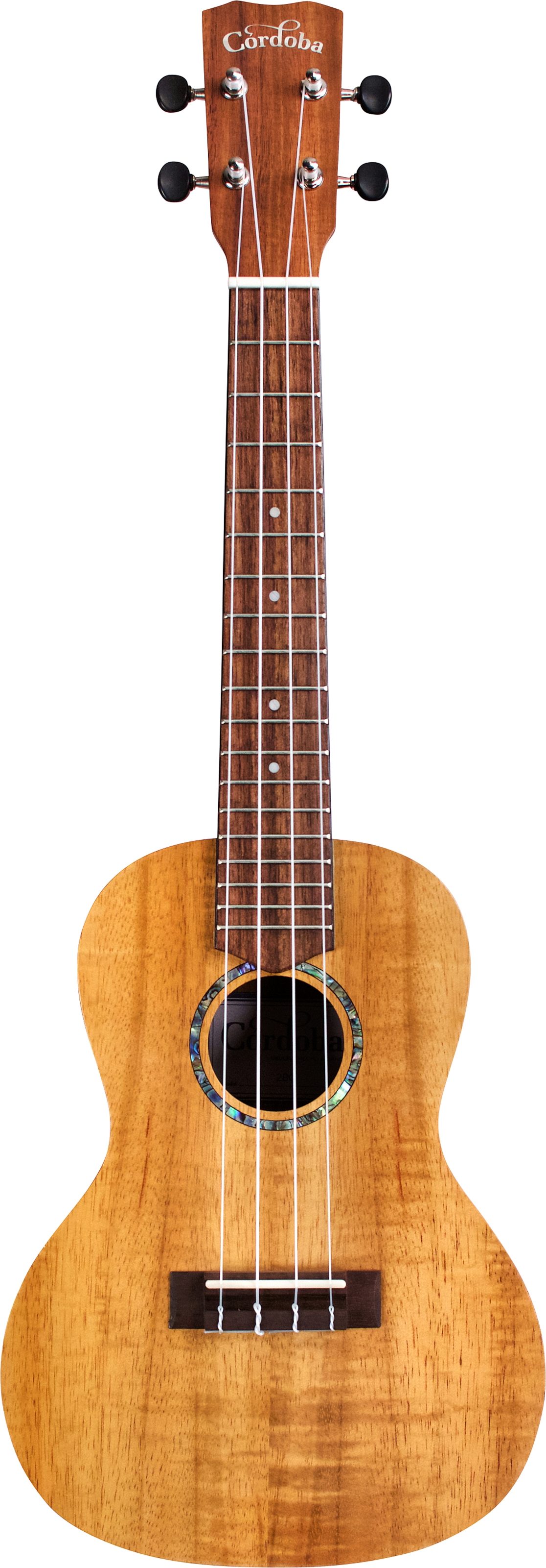 Cordoba 28C Koa Concert Ukulele, Action Position Back