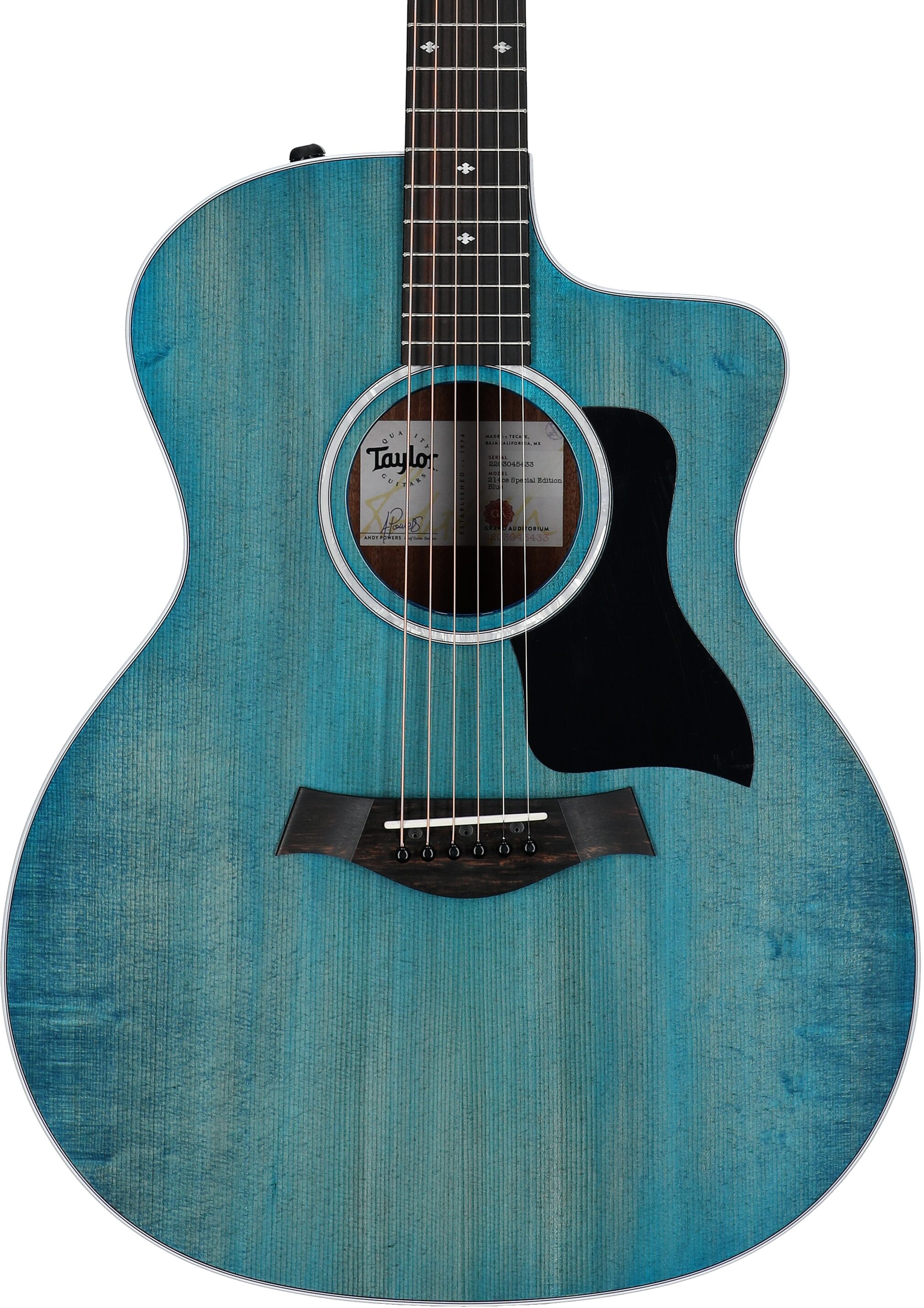 Taylor 214ce-SE Grand Auditorium Acoustic-Electric Guitar (with AeroCase), Blue, Body Straight Front