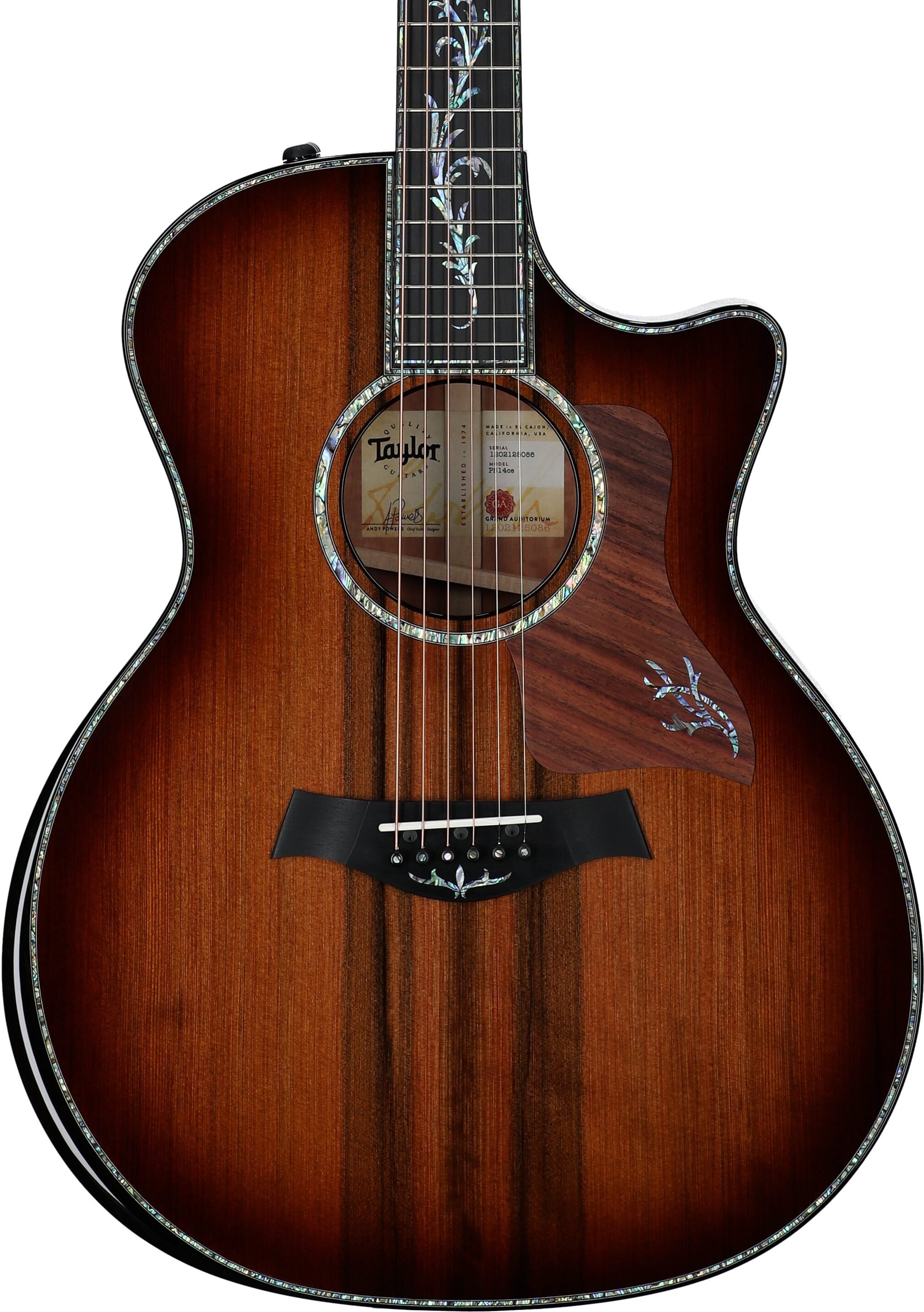 Taylor PS14ce Urban Ironbark Grand Auditorium Acoustic-Electric Guitar (with Case), Shaded Edgeburst, Body Straight Front