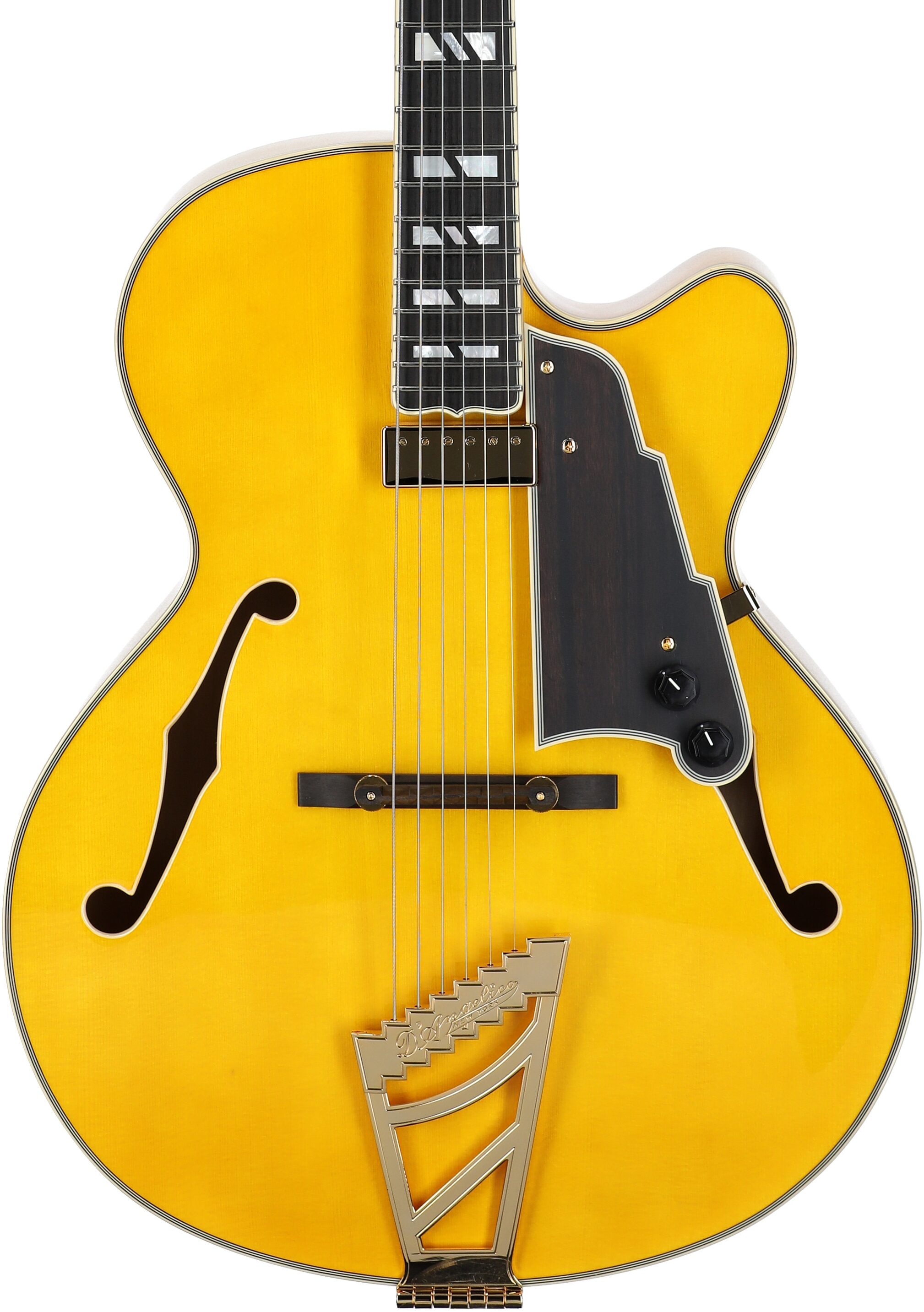 D'Angelico Excel 16 Hollowbody Electric Guitar (with Case), Amber, Body Straight Front