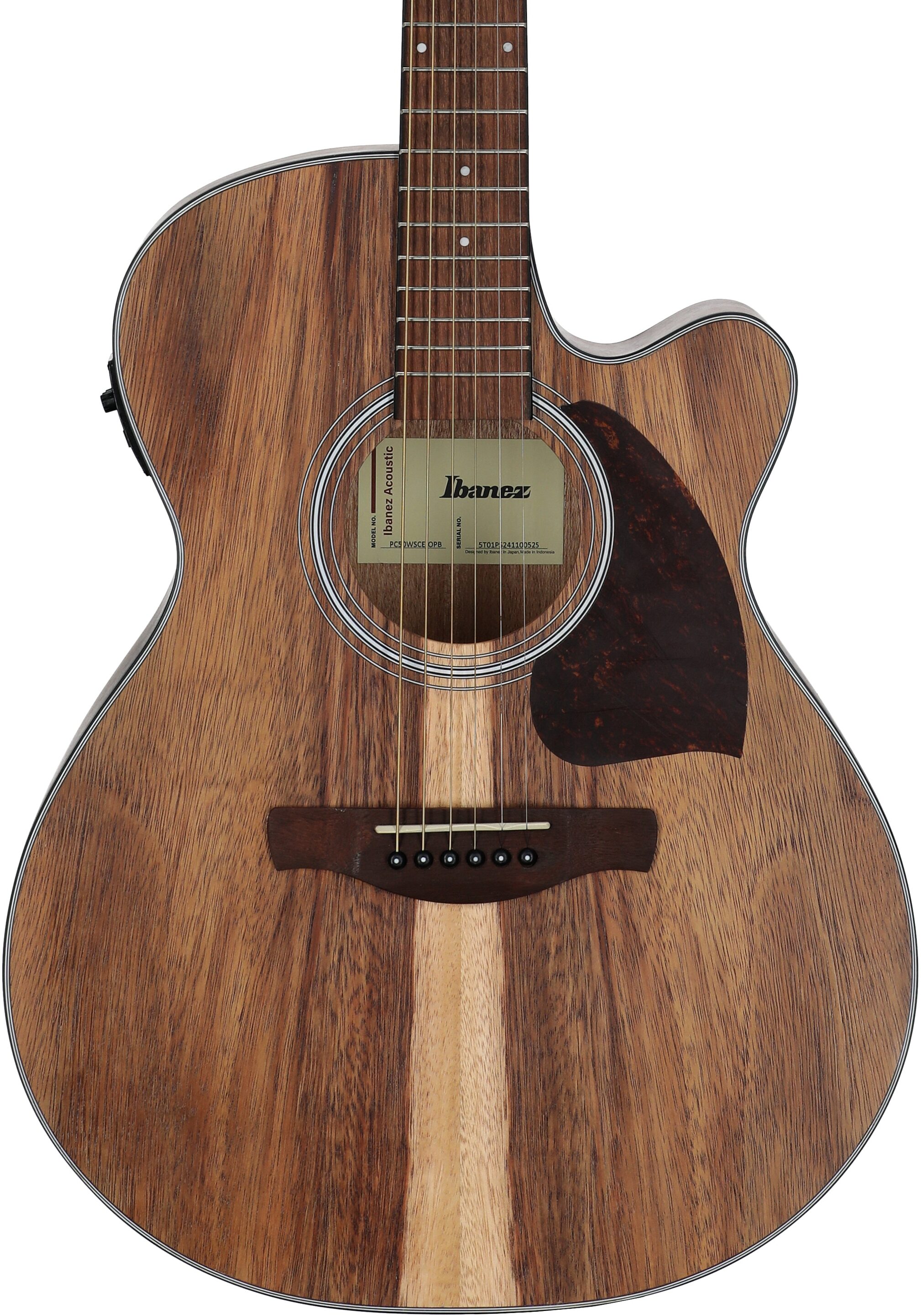 Ibanez PC50WSCE Acoustic-Electric Guitar, Open Pore Natural, Body Straight Front