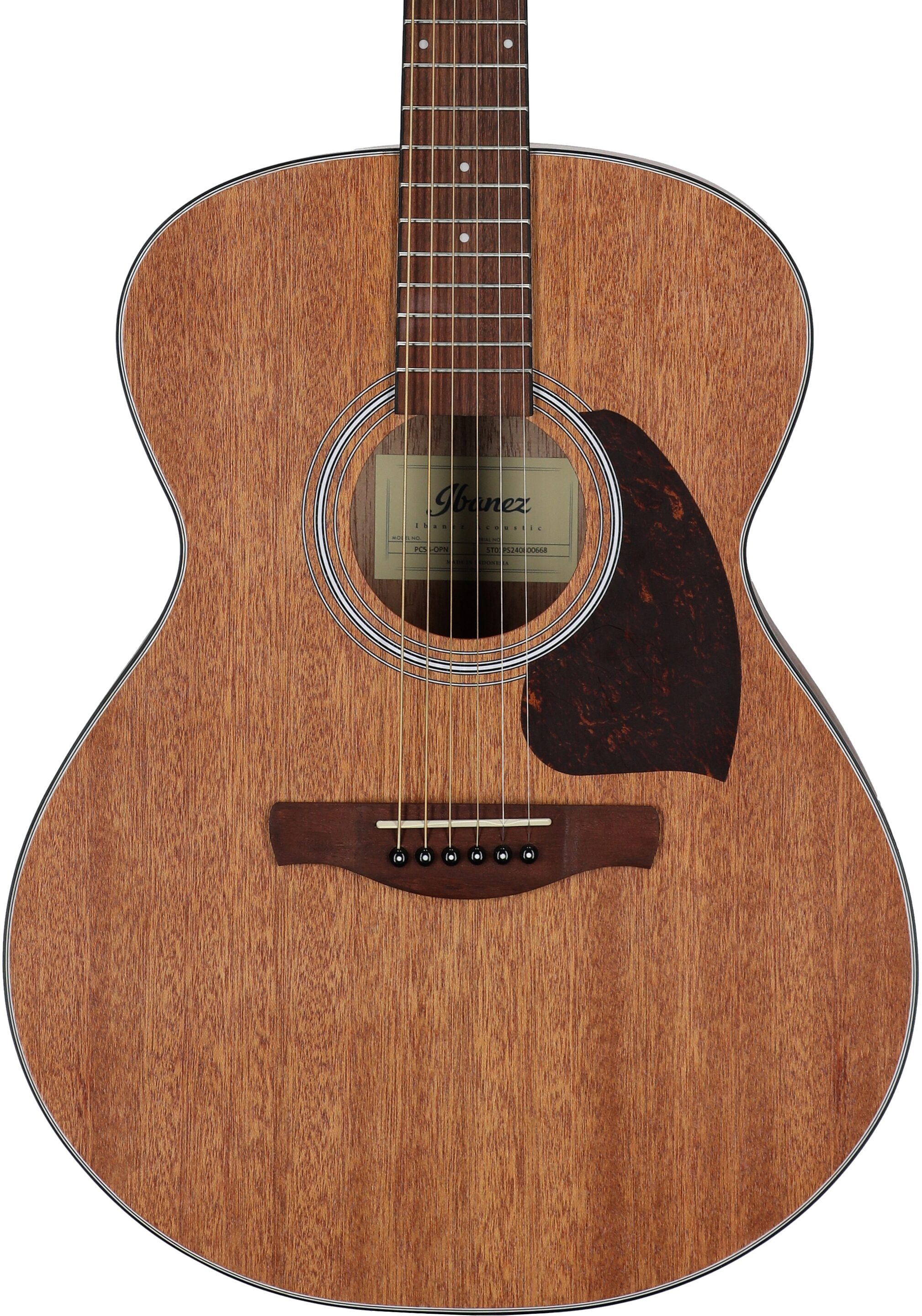 Ibanez PC54 Acoustic Guitar, Open Pore Natural, Body Straight Front