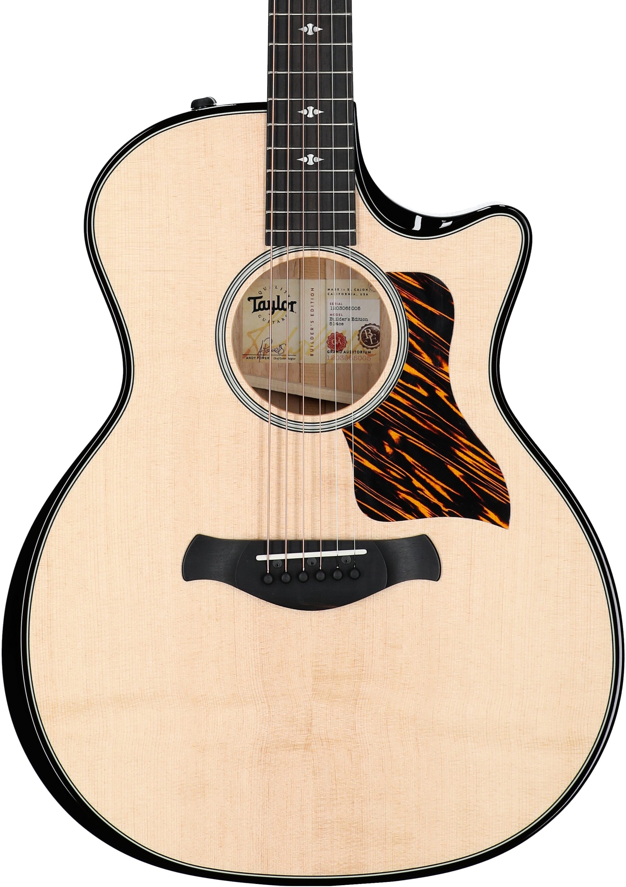 Taylor Builder's Edition 514ce Acoustic-Electric Guitar (with Case), Natural, Body Straight Front
