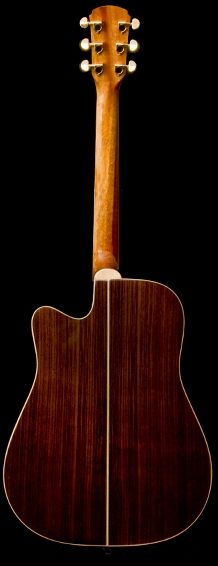Great Divide SGD-28CE-G Dreadnought Acoustic-Electric Guitar (with Gig Bag), Back--sgd-28c-g-3