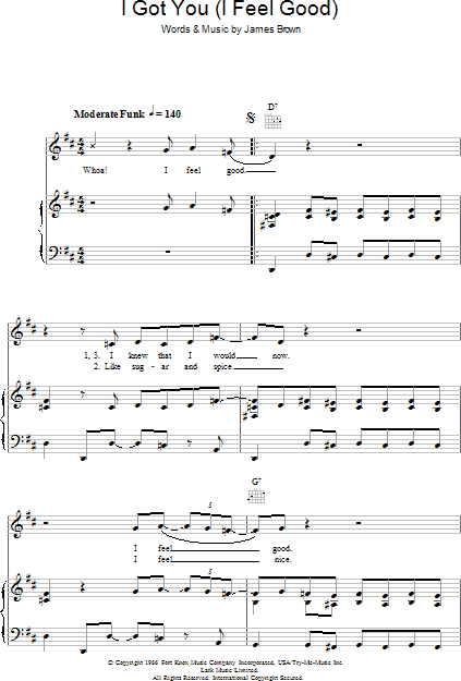I Got You (I Feel Good) - Piano/Vocal/Guitar, New, Main