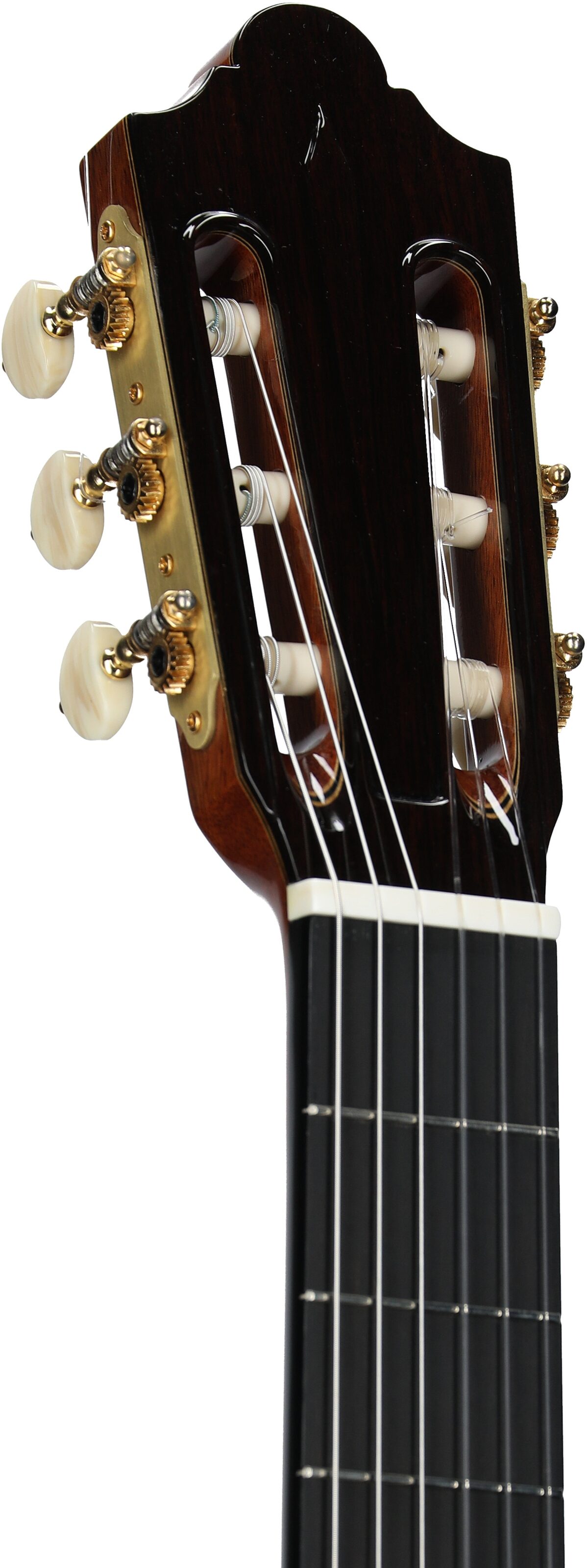 Cordoba Friederich CD Classical Acoustic Guitar, New, Serial Number 72202252, Headstock Left Front