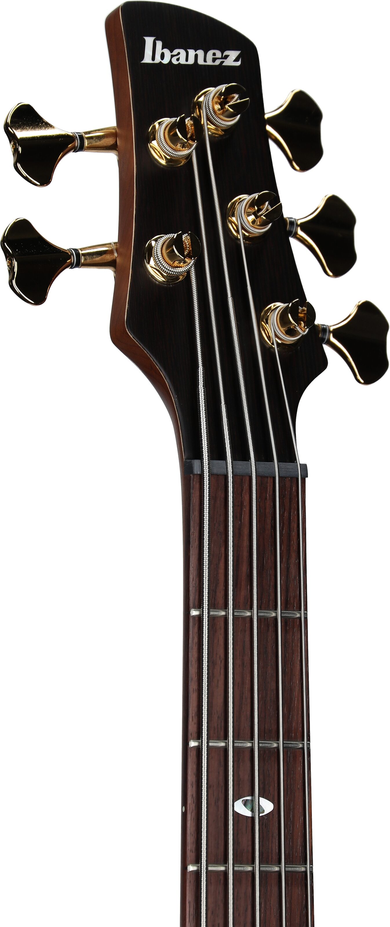 Ibanez SR5505 Prestige Electric Bass, 5-String (with Case), Mocha Flat, Serial Number 210001F2500896, Headstock Left Front
